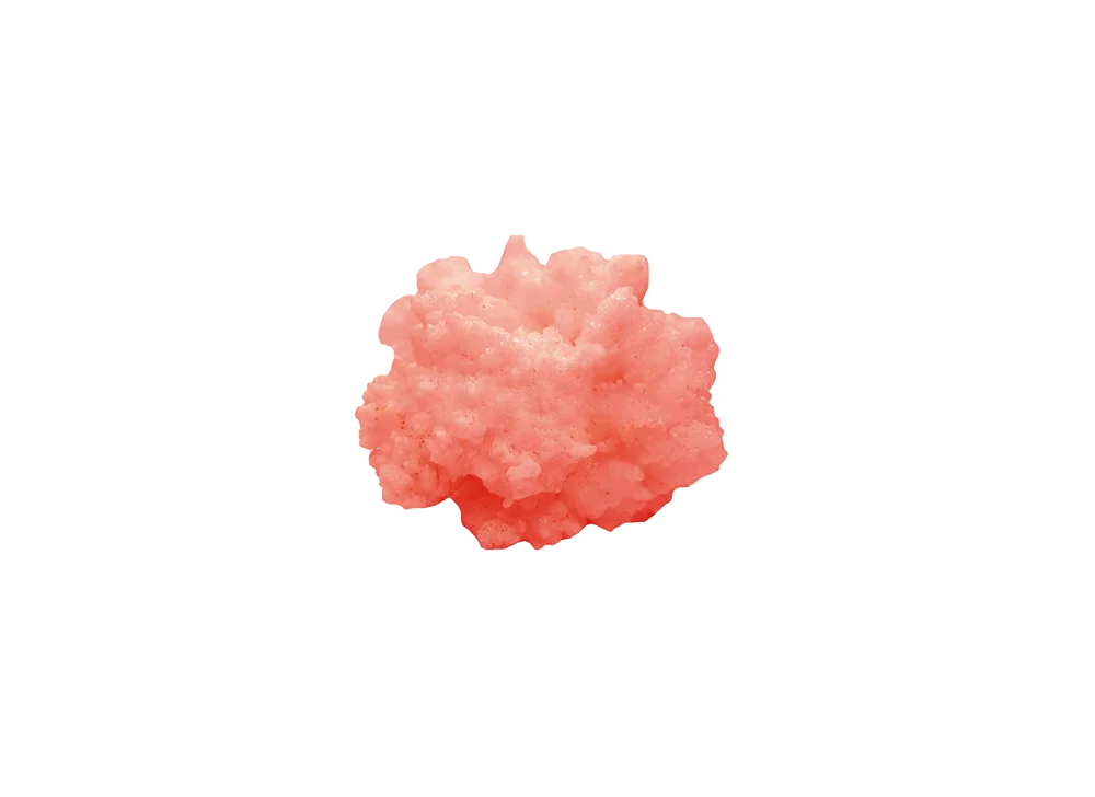 Pink Coral